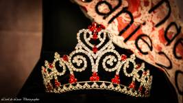 Celia DUTIL - L'oeil de Lucie  Photographie